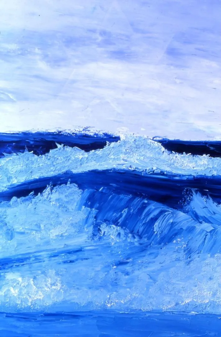 Etoile de mer