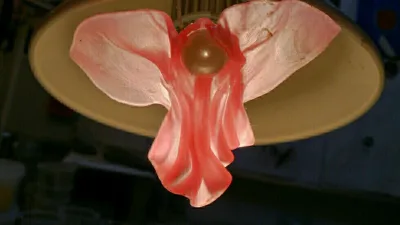 Aum